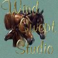 Graphics from WindSwept Studio